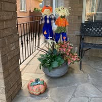 Jasmina Jelenkovic-Bulovic