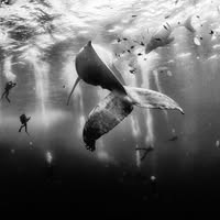 Lider Arturo Mamani Puma