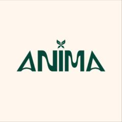 Anima Believe