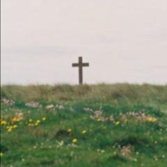 Karen Sofia Camacho Tapiero