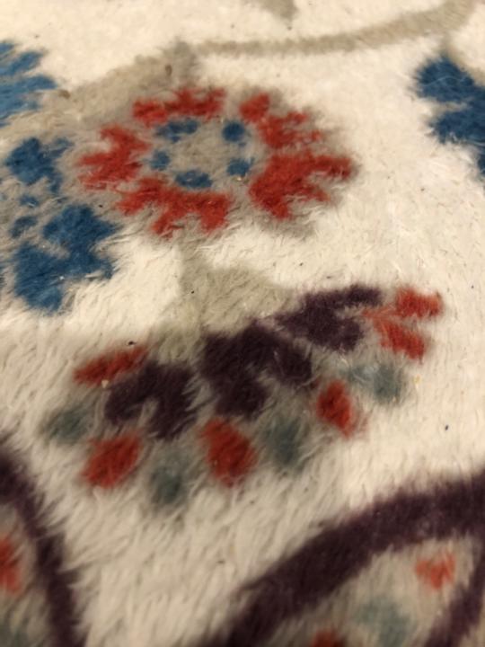 Flower S