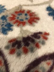 Flower S