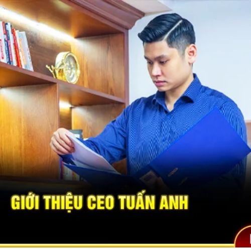CEO Tuấn Anh Mm
