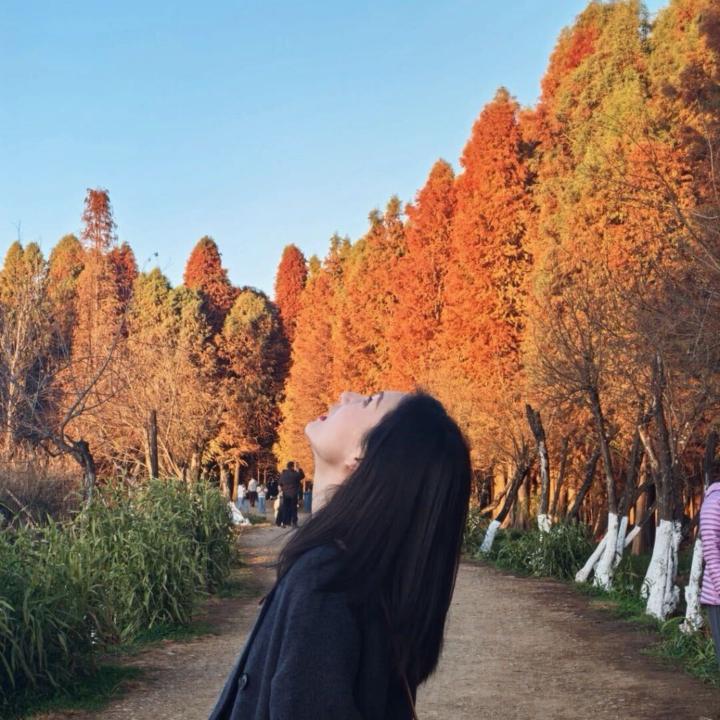 Ivy Li