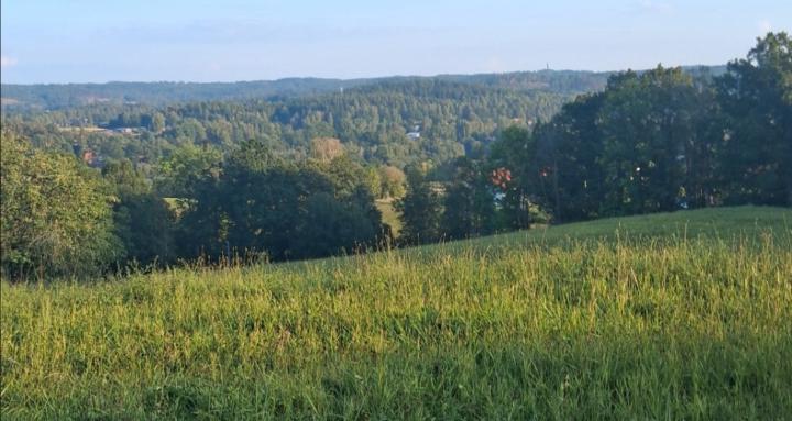 The Health and family