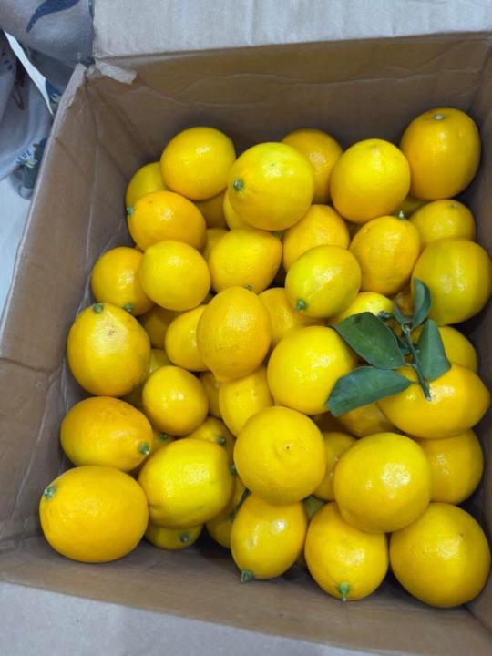 Yen nhi Nini nails spa