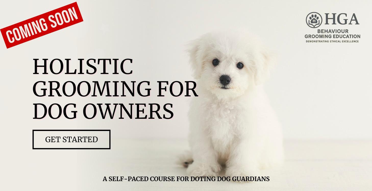 Holistic Grooming for Dog Owners
