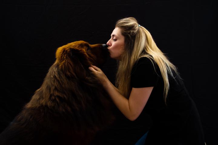 Pet Loss 