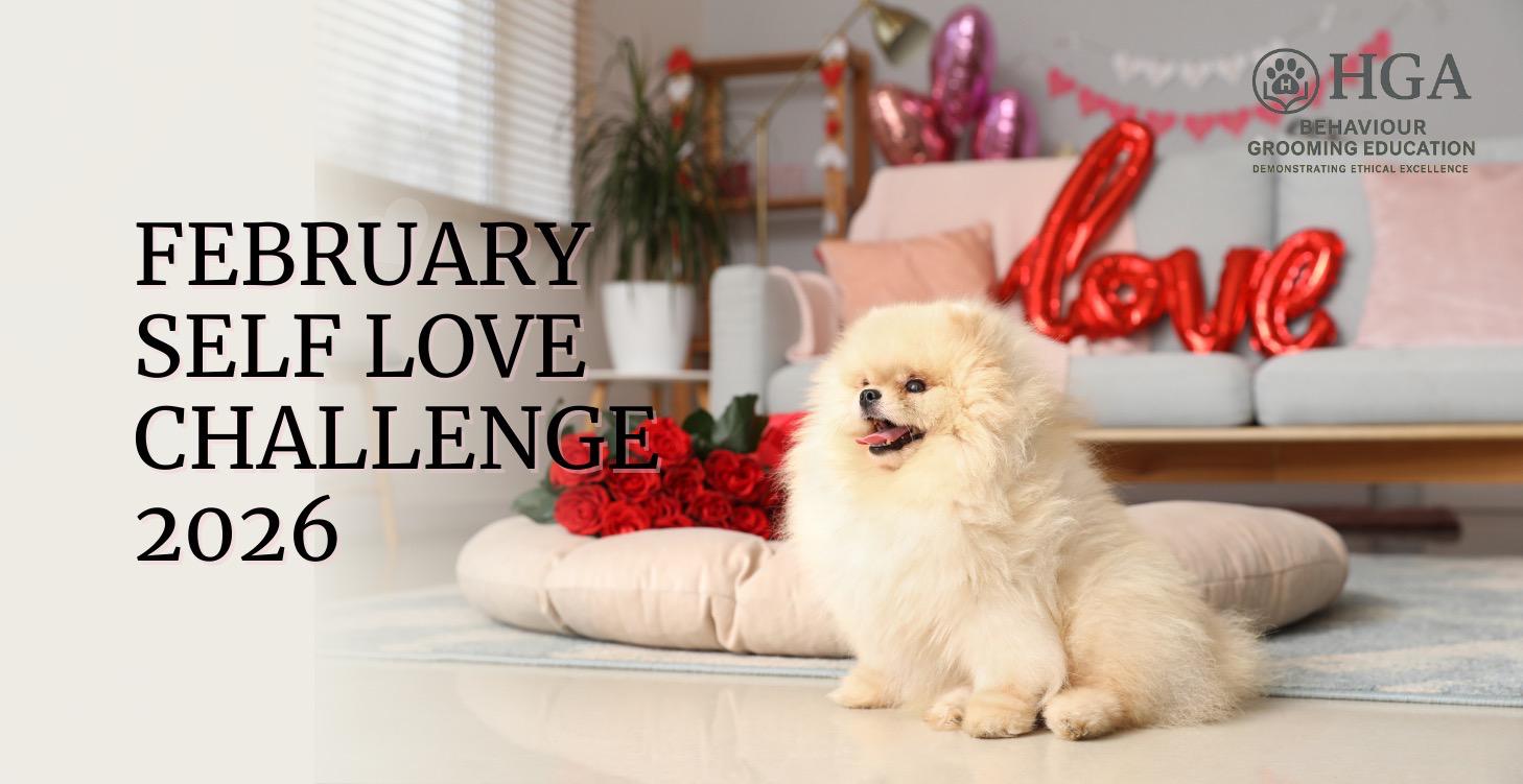 Self Love 7-Day February Challenge!