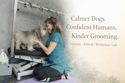 The Holistic Dog Grooming Club gallery image