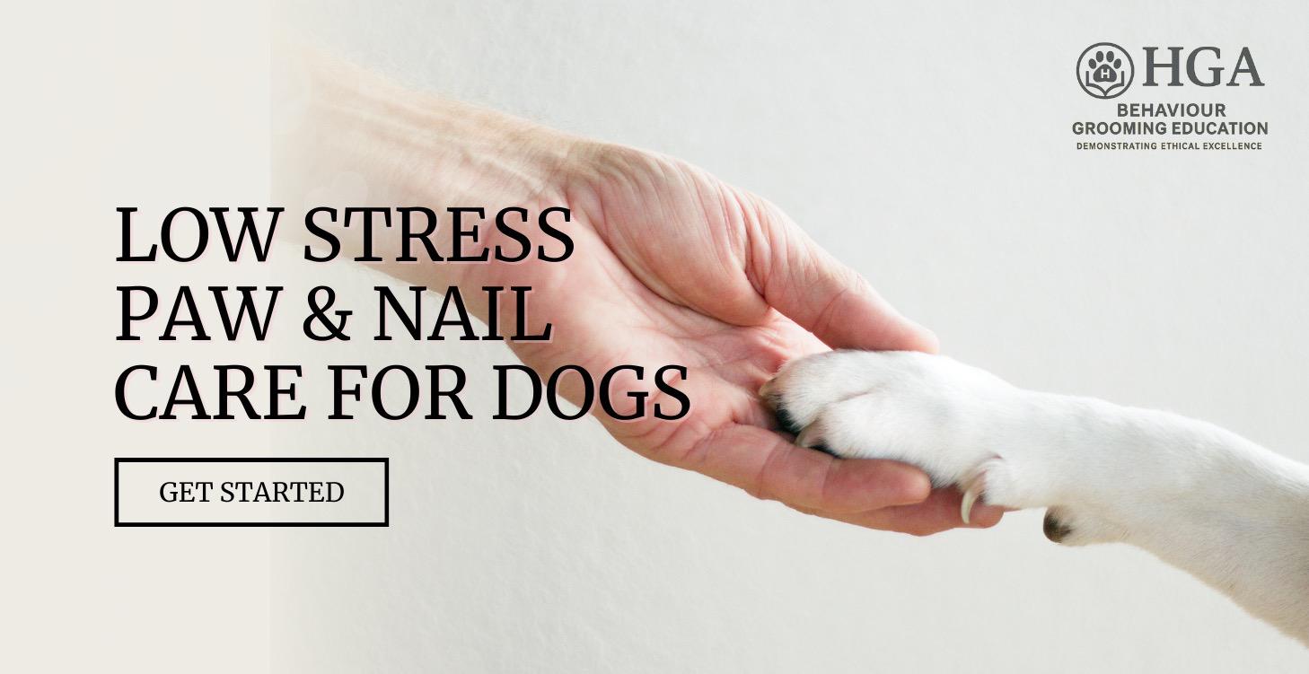 Low-Stress Paw and Nail Care Mini Course