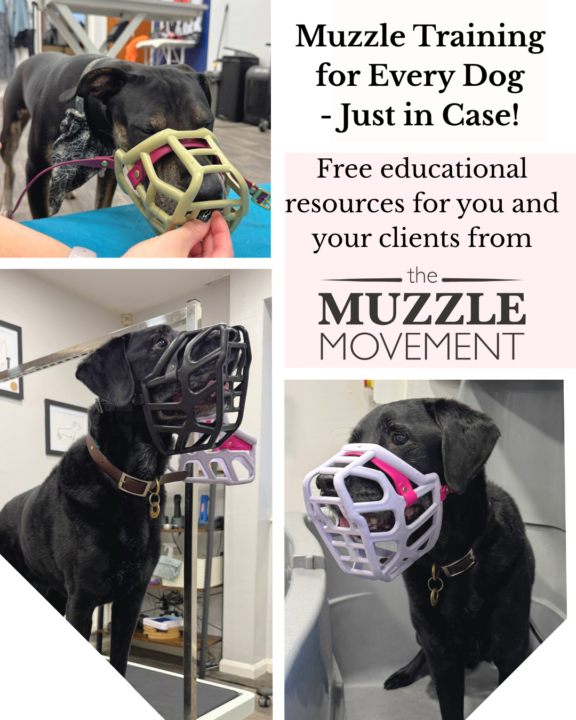Attn Professionals: New Resources from The Muzzle Movement