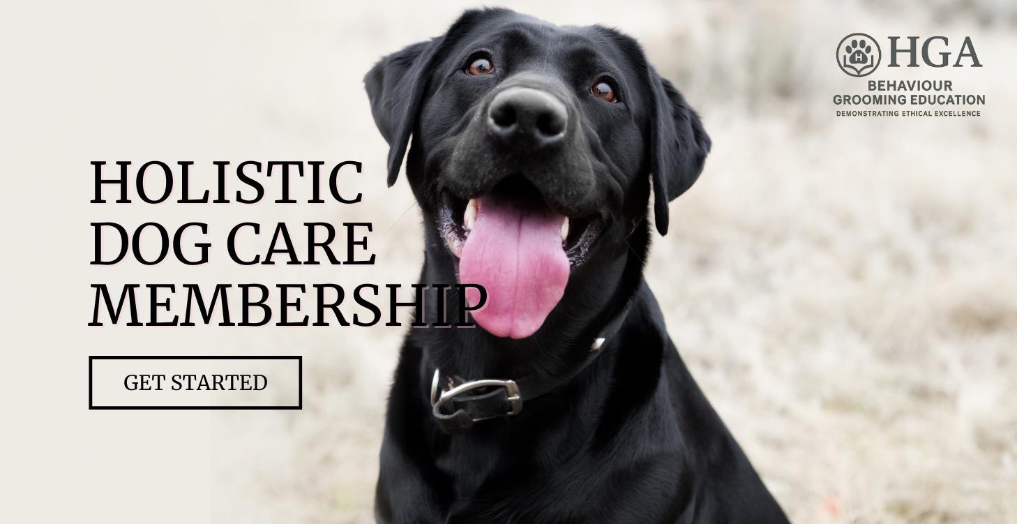 Holistic Dog Care Membership