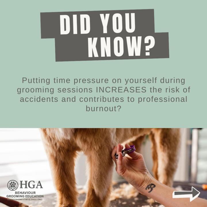 Should grooming sessions be timed? 🕰️ 