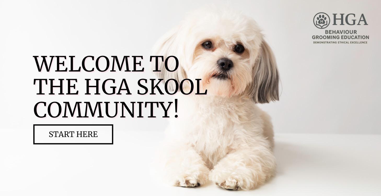 Start Here: How To Use This Community