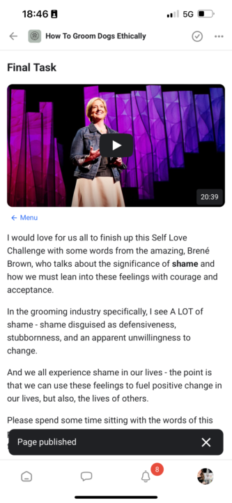 Final Self Love Task - Shame 