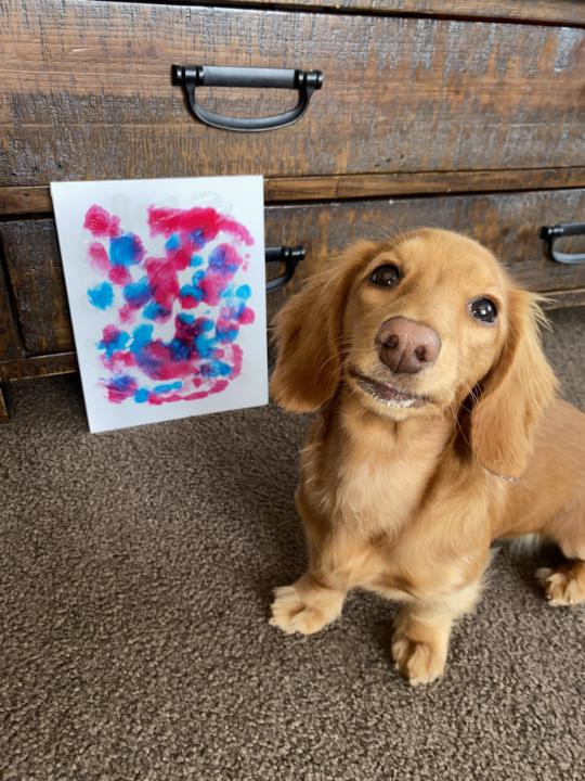 Awareness Day Pupdate! 🎨 