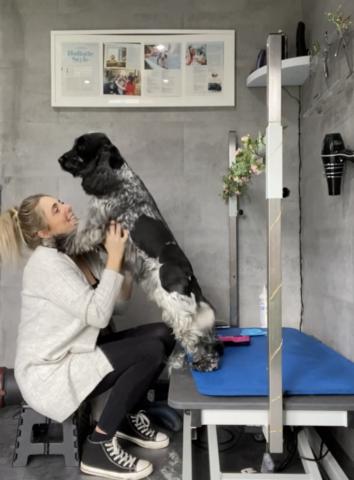 The Holistic Dog Grooming Club gallery image