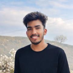 Rajapandi K