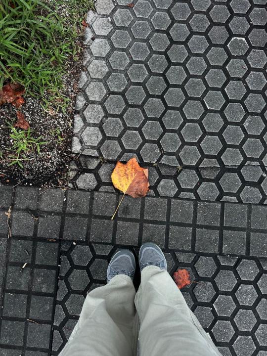 Salome Alimbarashvili