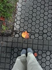 Salome Alimbarashvili