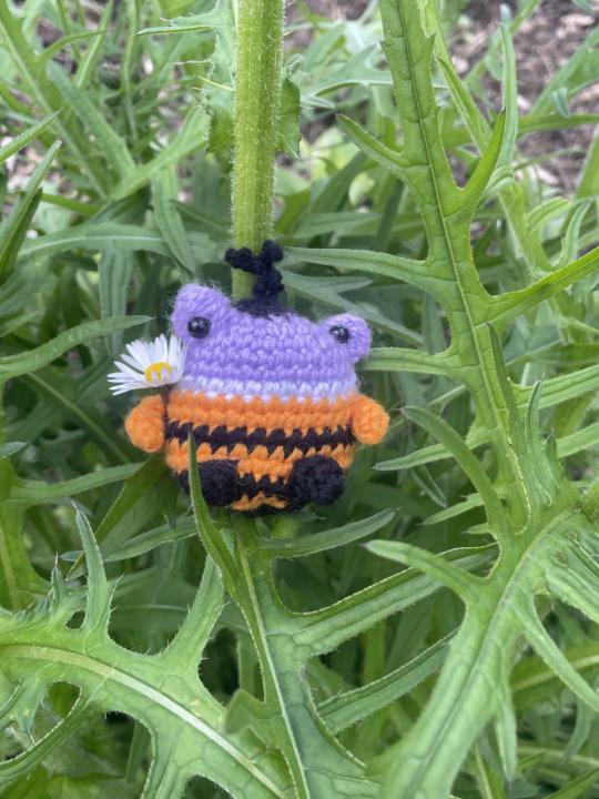 My most recent crochet