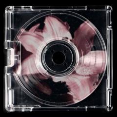 Nguyễn Bảo Ngân