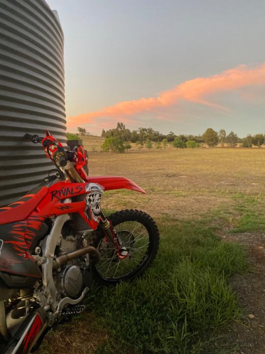 Hayden Girdlestone