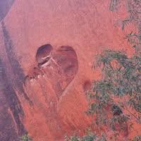 Colleen Hawke-Linsley