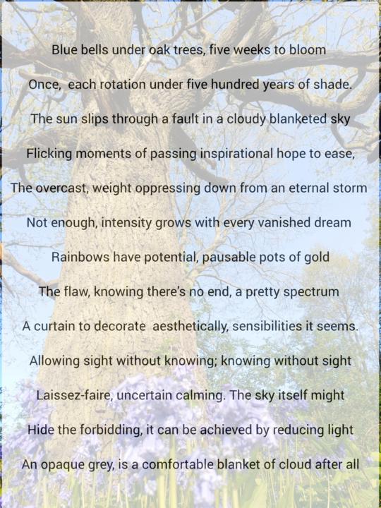 Hiding behind my poem