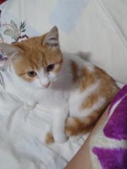 Elif Ebrar Yıldırım