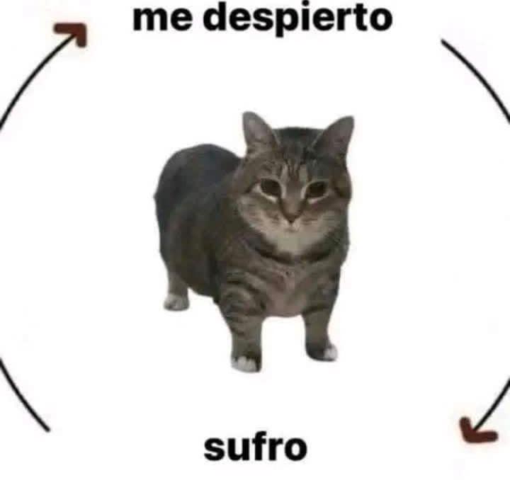 Miguel Ángel Gómez Leon