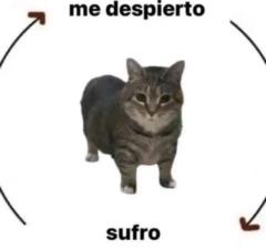 Miguel Ángel Gómez Leon