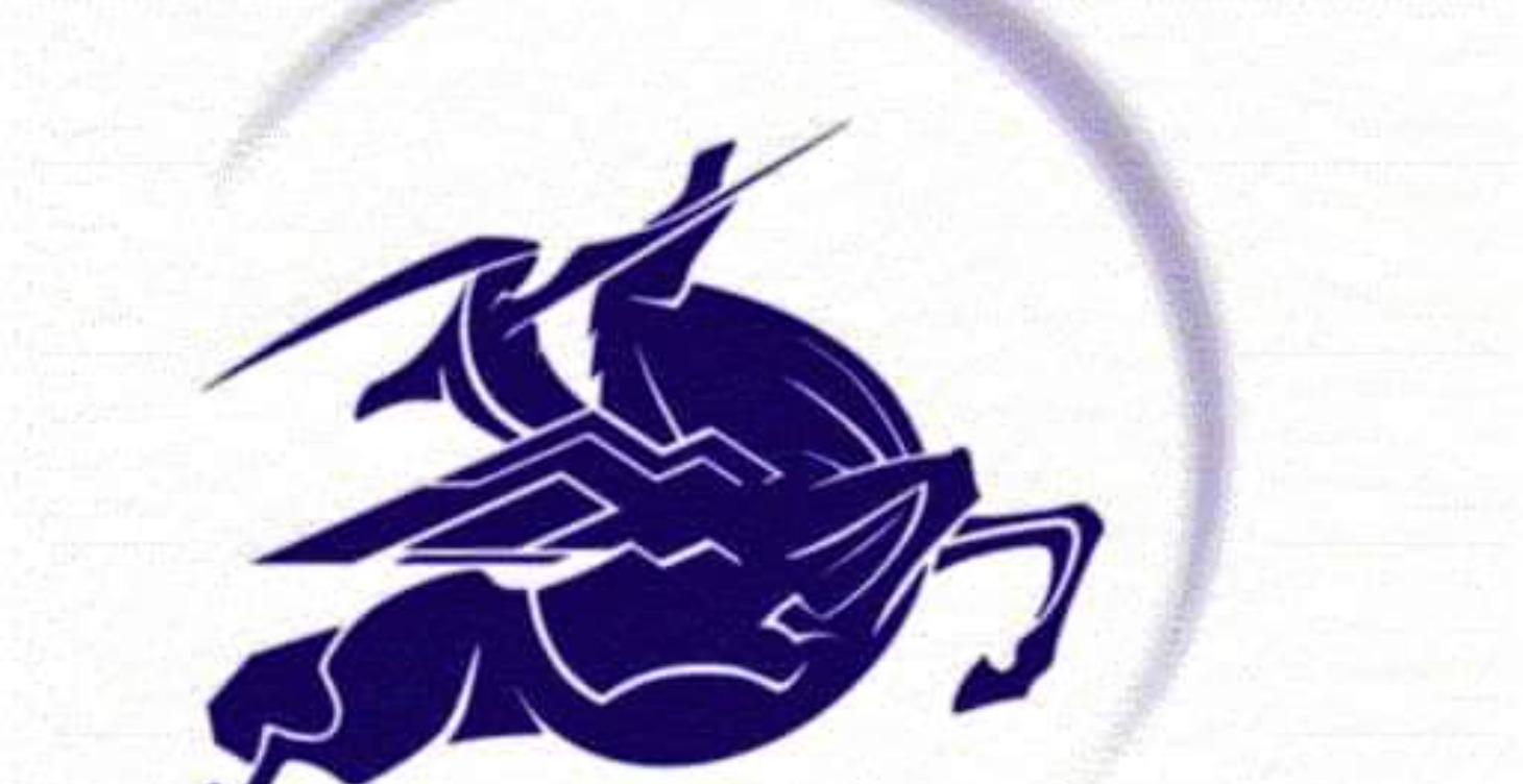 Personal Tuition from Qualified Professionals