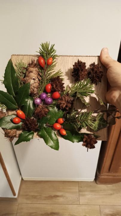 Balogh -Biró Barbara