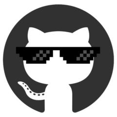 Dev User