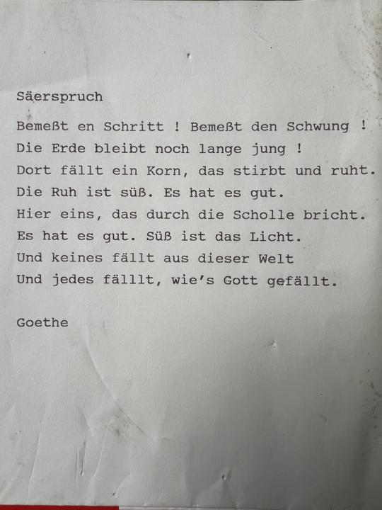 Ein Buch aus dem Bücherregal gezogen