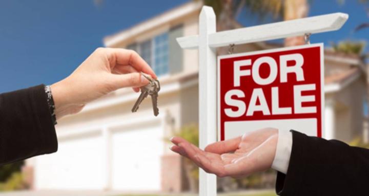 Real Estate Victor