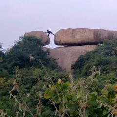 Rajesh S