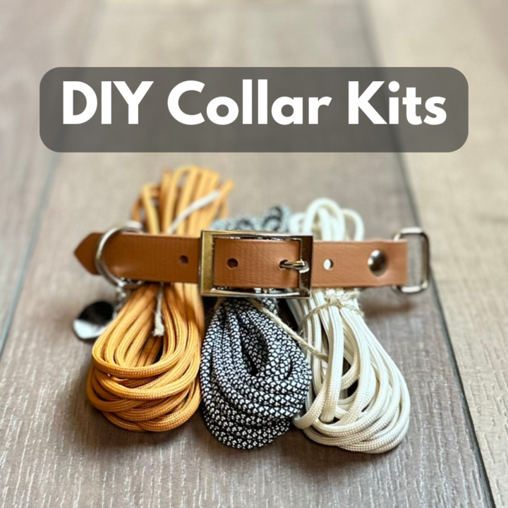 ✨New: DIY Dog Collar Kits Now Available