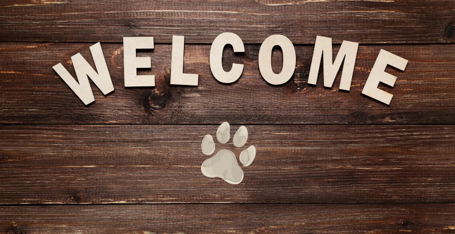Welcome!
