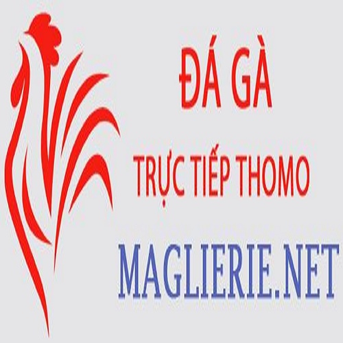 Đá Gà Trực Tiếp Thomo