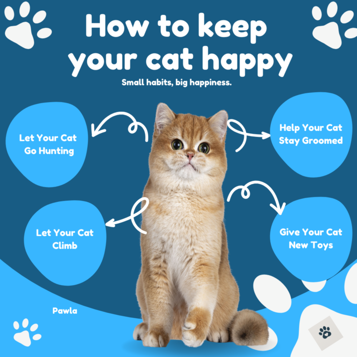 Keeping our pets happy doesn’t always require something big — sometimes it’s the small habits that make the biggest difference. 🐾💙