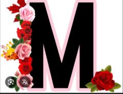 Saron Michael