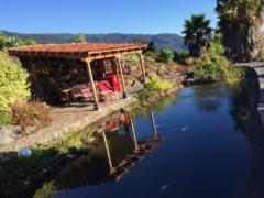 Carolina de los Reyes Mejias Suarez