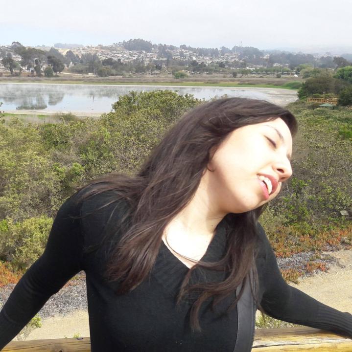 Gisa Medina