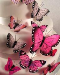 Mabel Cortés Iborra