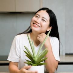 Phương Anh Chanh