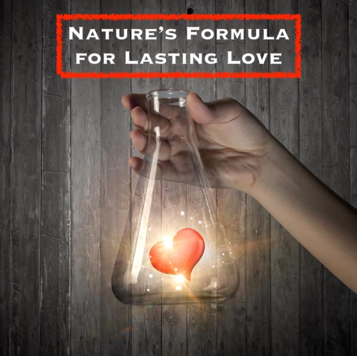 Create Lasting Love with a Life Partner - 7 Step Blueprint