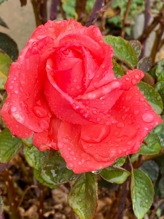 Powerful meditation & breathwork